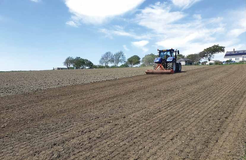 CULTIVATING YOUR VINEYARD'S POTENTIAL