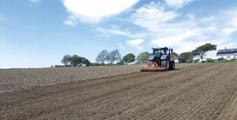 PROCESSES TO PREPARE GROUND FOR PLANTING