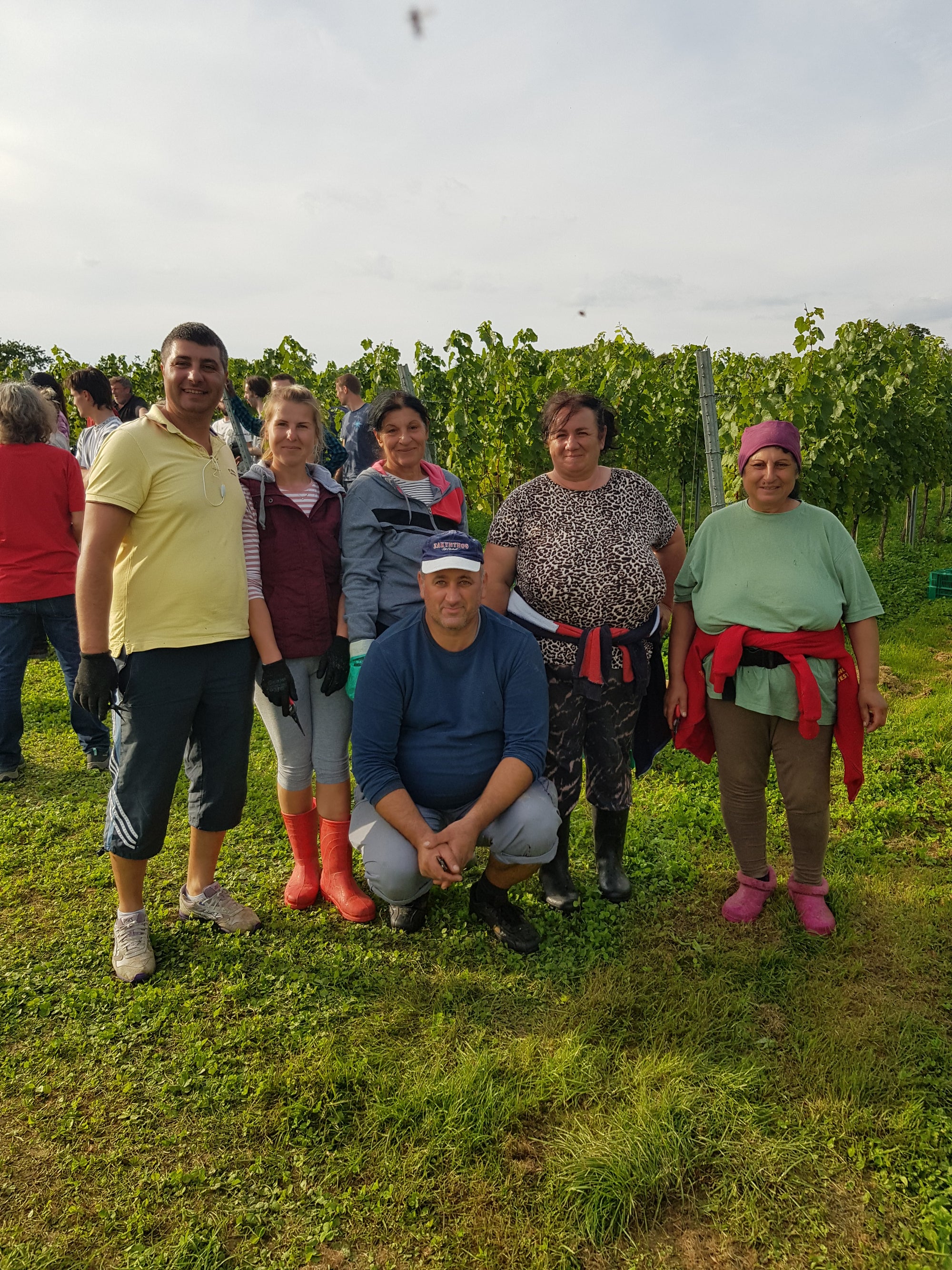 PREVENTING MODERN SLAVERY IN VITICULTURE