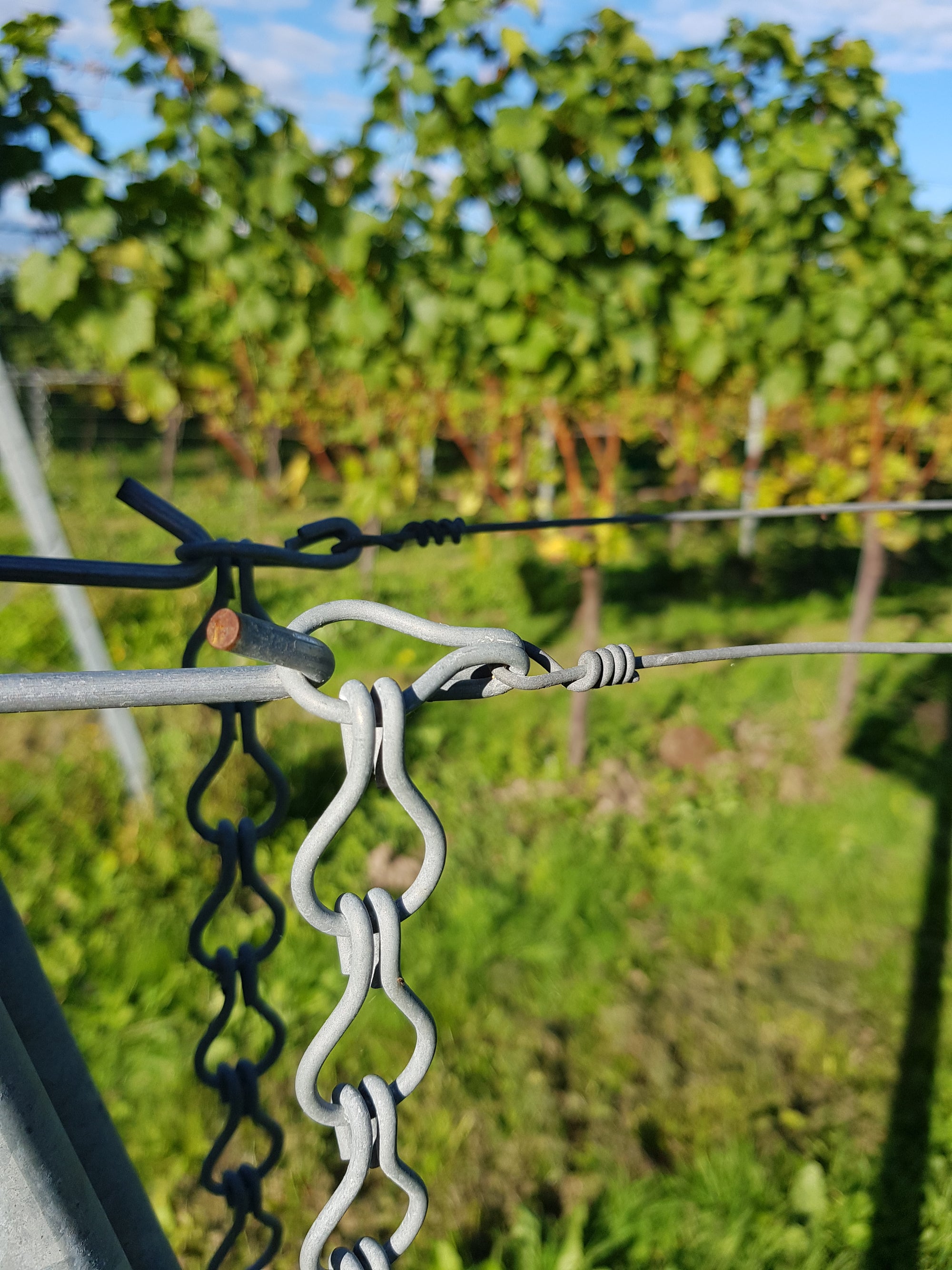 Trellis Chains Attached to Hangers and Foliage Wire