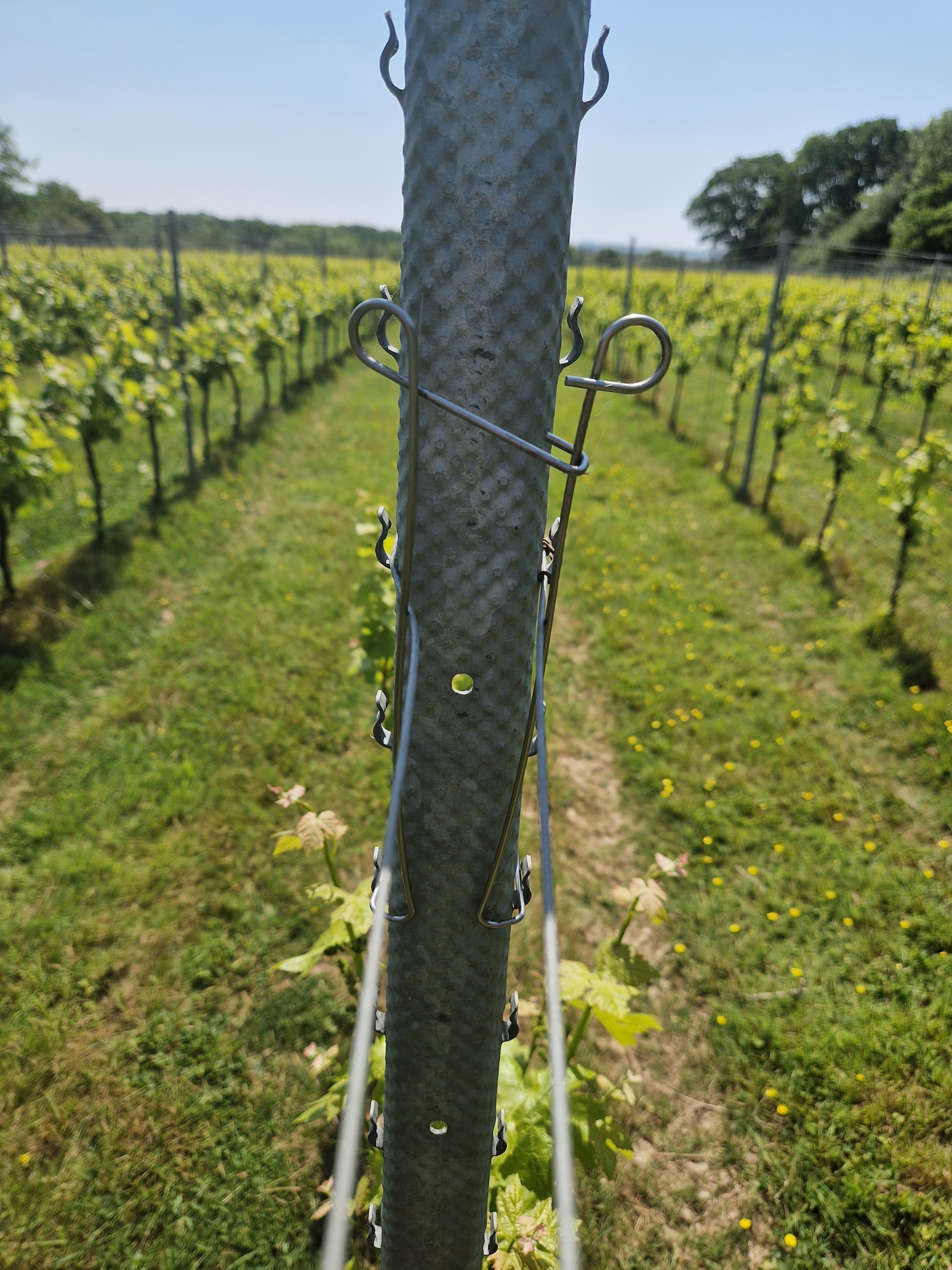 Vineyard Trellis Wire Spreaders, Bundle/10
