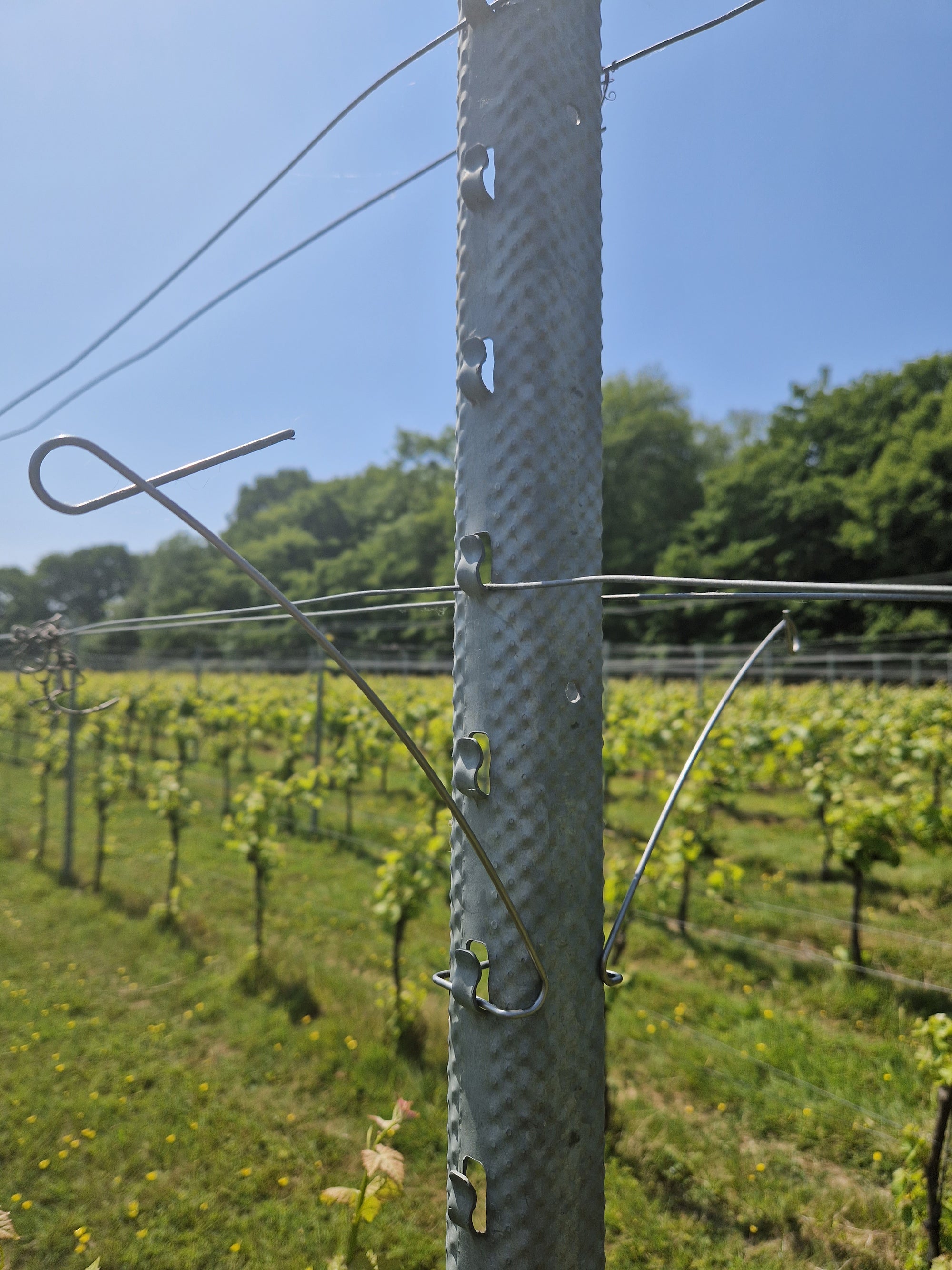 Vineyard Trellis Wire Spreaders, Bundle/10