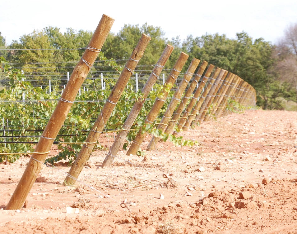 wood trellis posts Gripple GPAK Plus W Anchor Wooden Trellis Post Tiebacks, Box/20 – VineWorks