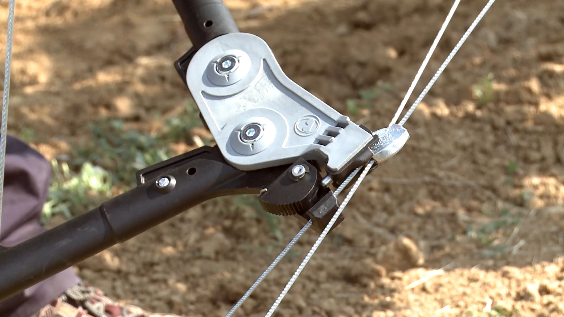 Gripple Torq Tool Tensioning Fruiting Wire in Vineyard