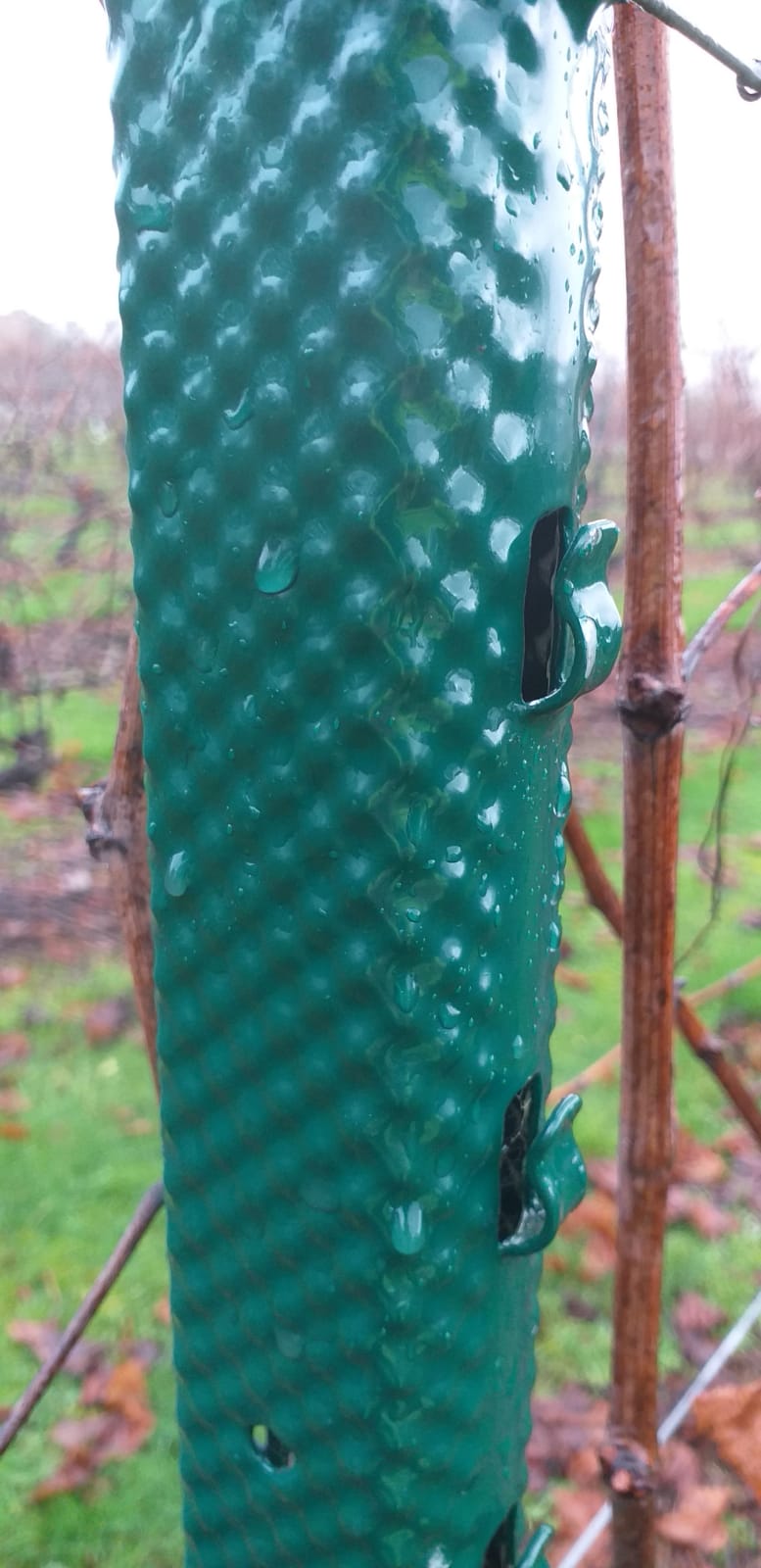 Close Up of Hadley Intermediate Post Powder-Coated Green