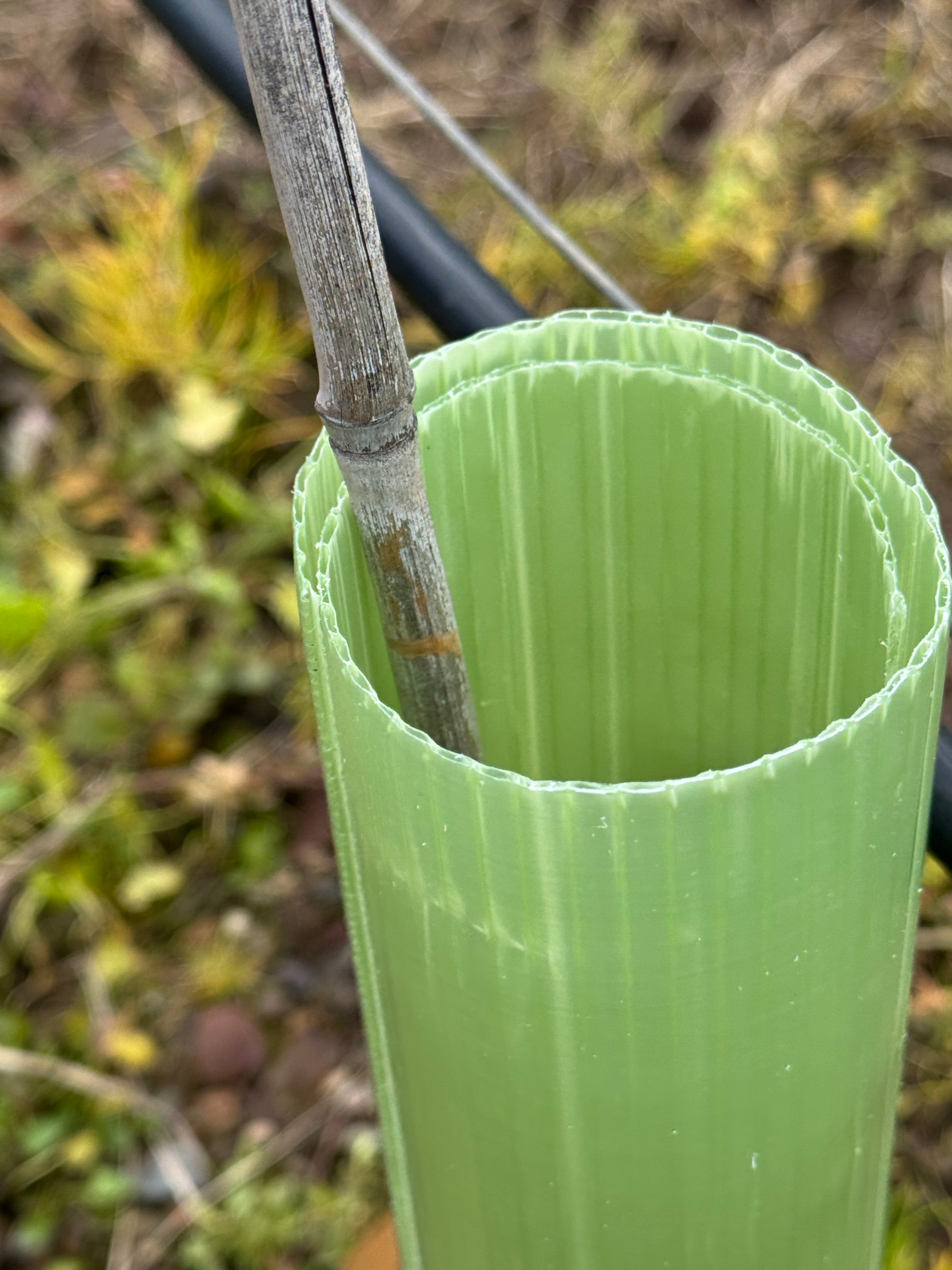 50cm Openable Grow Guards, Recyclable Vine Shelters