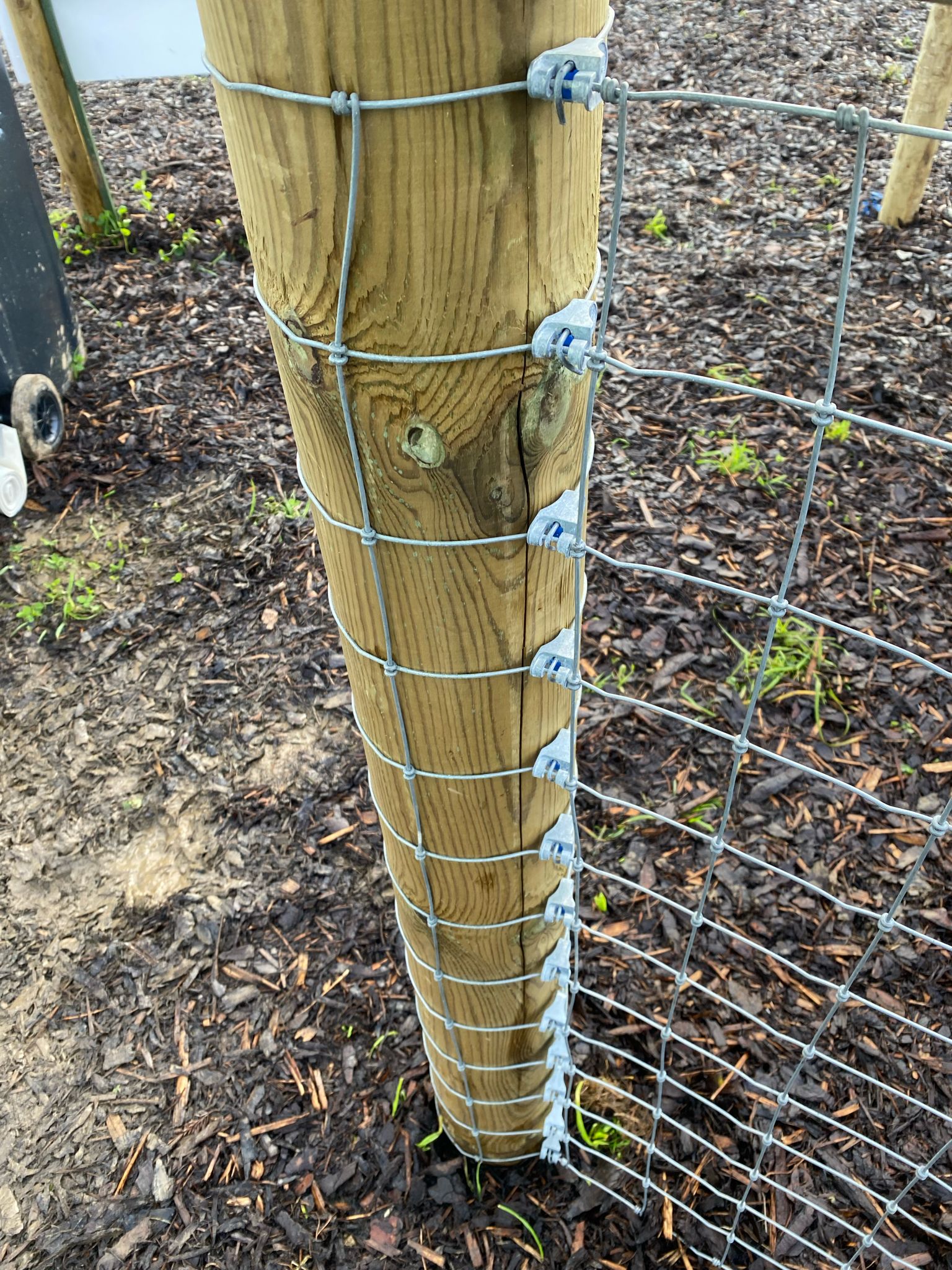 Gripple T-Clip 1 Trellis Wire End Post Joiner, Bag/20