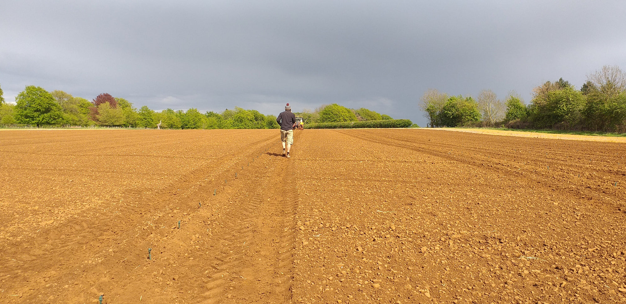 Pierre Denis Tourette of Tourette Nursery (France) standing in the middle of an empty field prepared for vineyard planting.