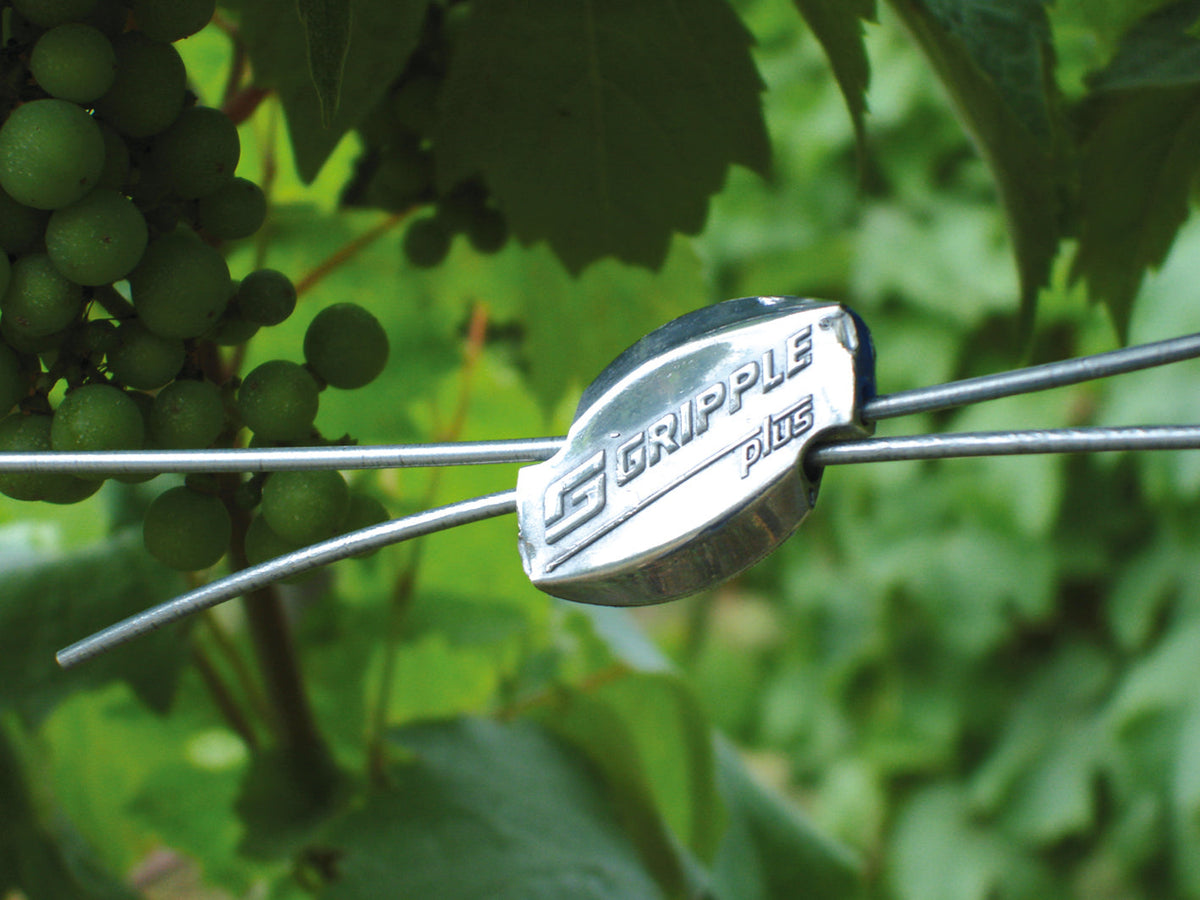 Close up of a metal Gripple two-way wire tensioner on a UK vineyard.