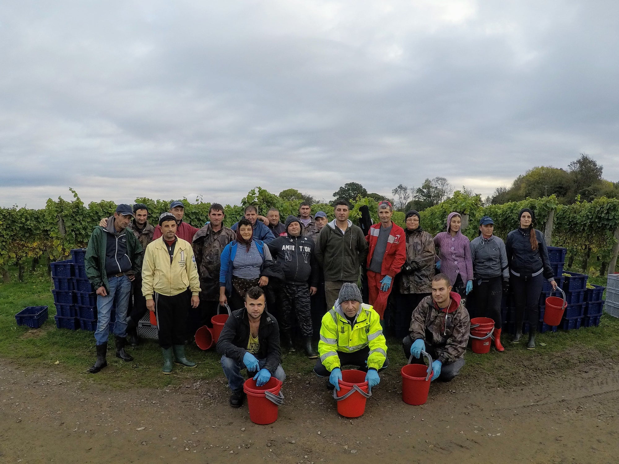 Vineyard labour team photo - 2019 VineWorks