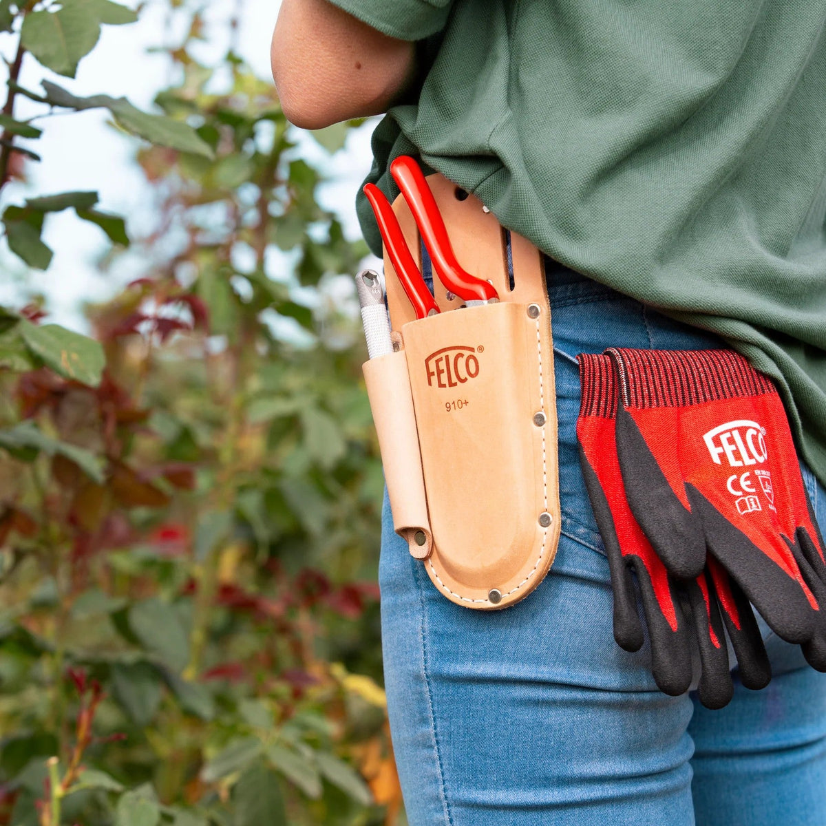 Close up of a vineyard worker wearing a Felco holster with secateurs and gloves in back pocket.