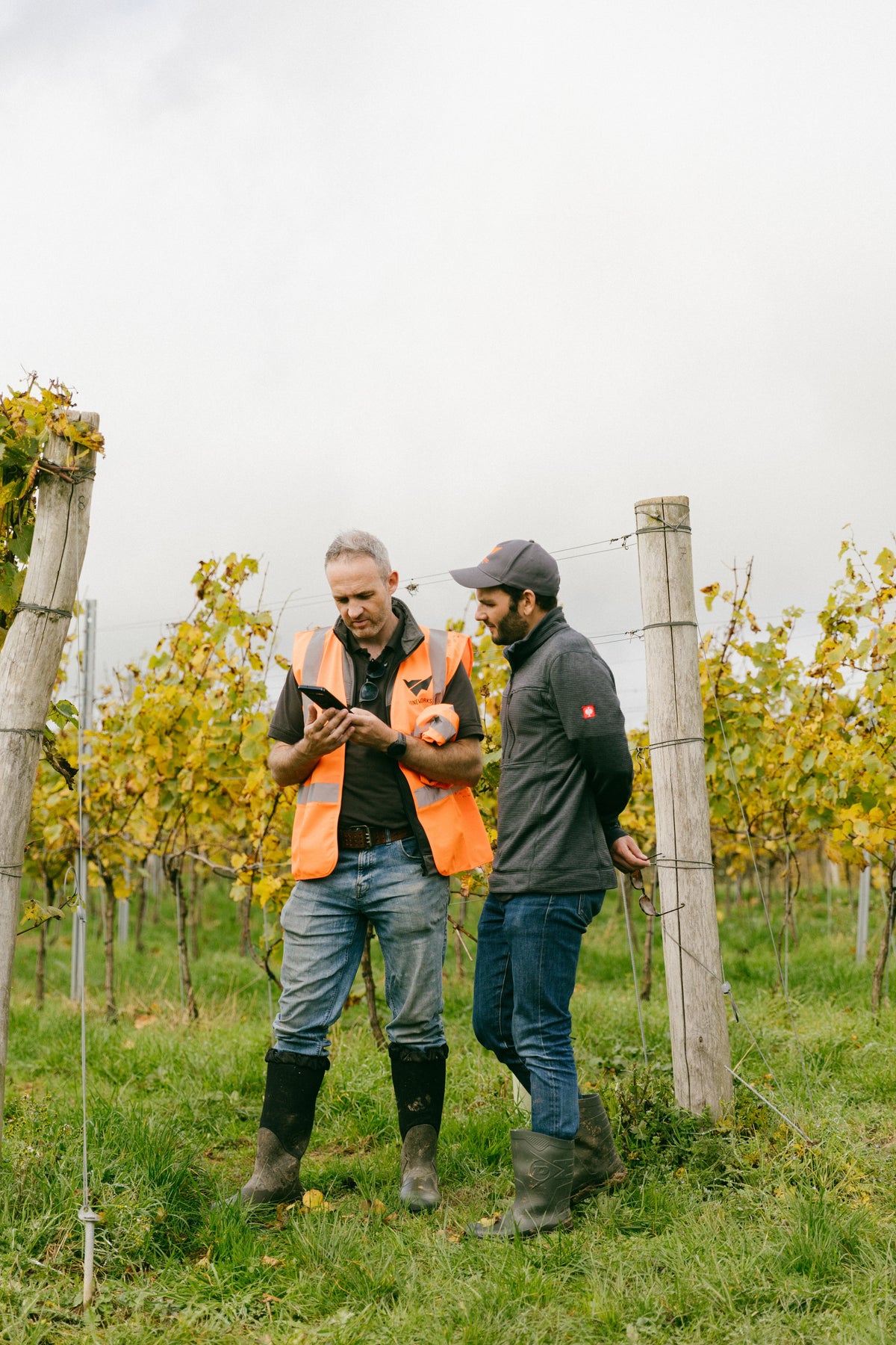 Two VineWorks Viticulturists in a UK vineyard discussing plans for post-harvest work.