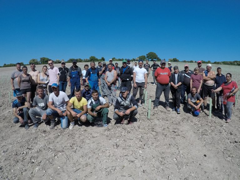 Group photo of VineWorks labourer team in a recently established vineyard in the UK, 2018.