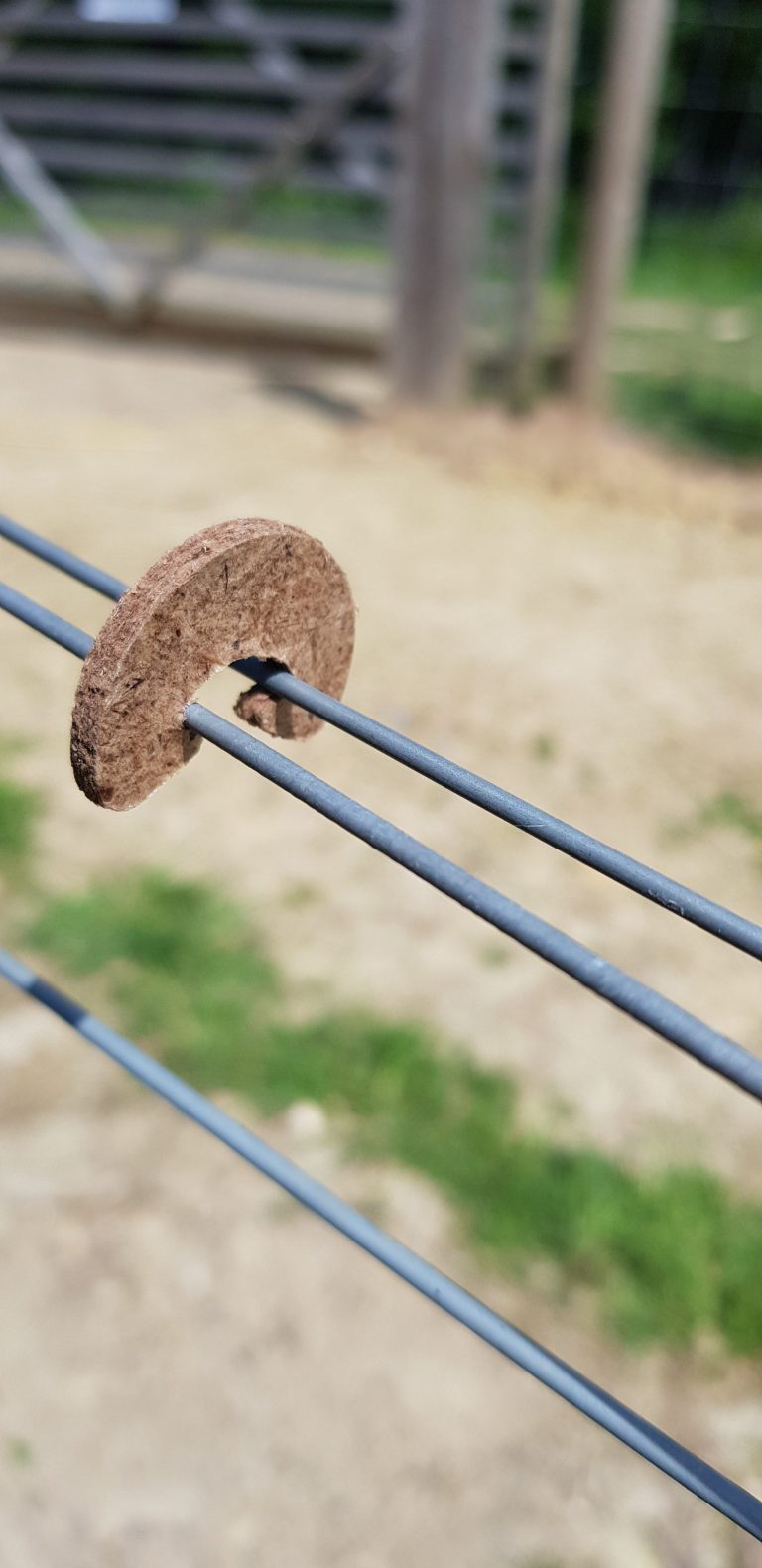 Biodegrable foliage clip on trellising wires in a UK vineyard