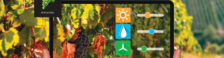 Image of data readings (scouting) used in vineyard management
