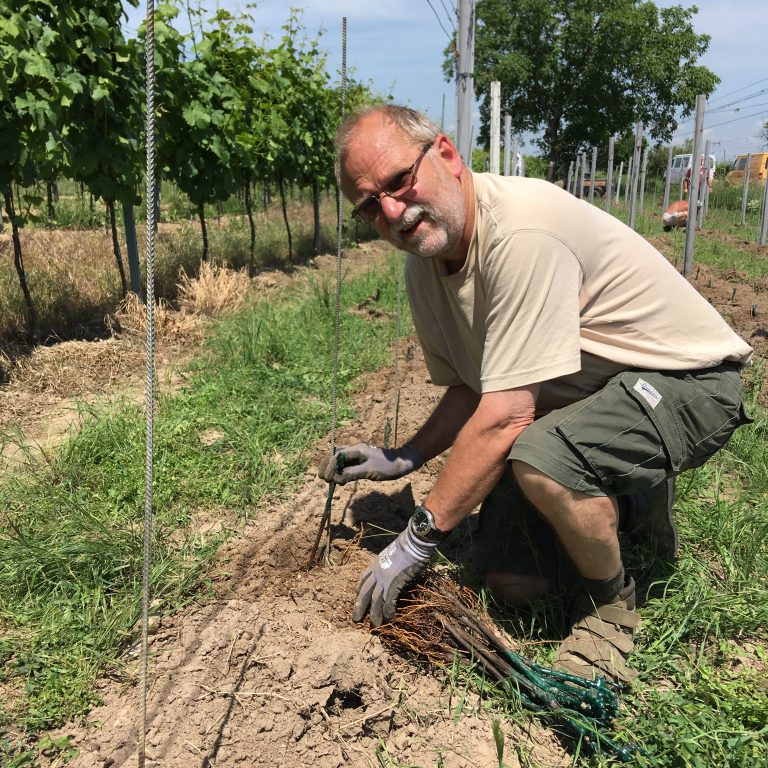 Picture of Ernst Weis working in a vineyard