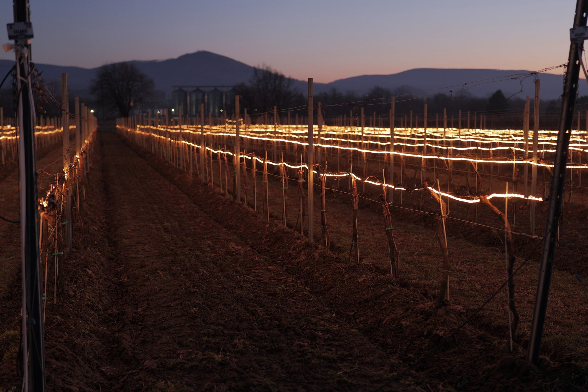 Live demonstrations of Frolight Frost Protection System - 18 & 25 February 2026