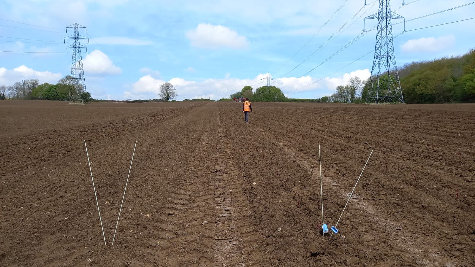 A vineyard being laid out for replanting.  