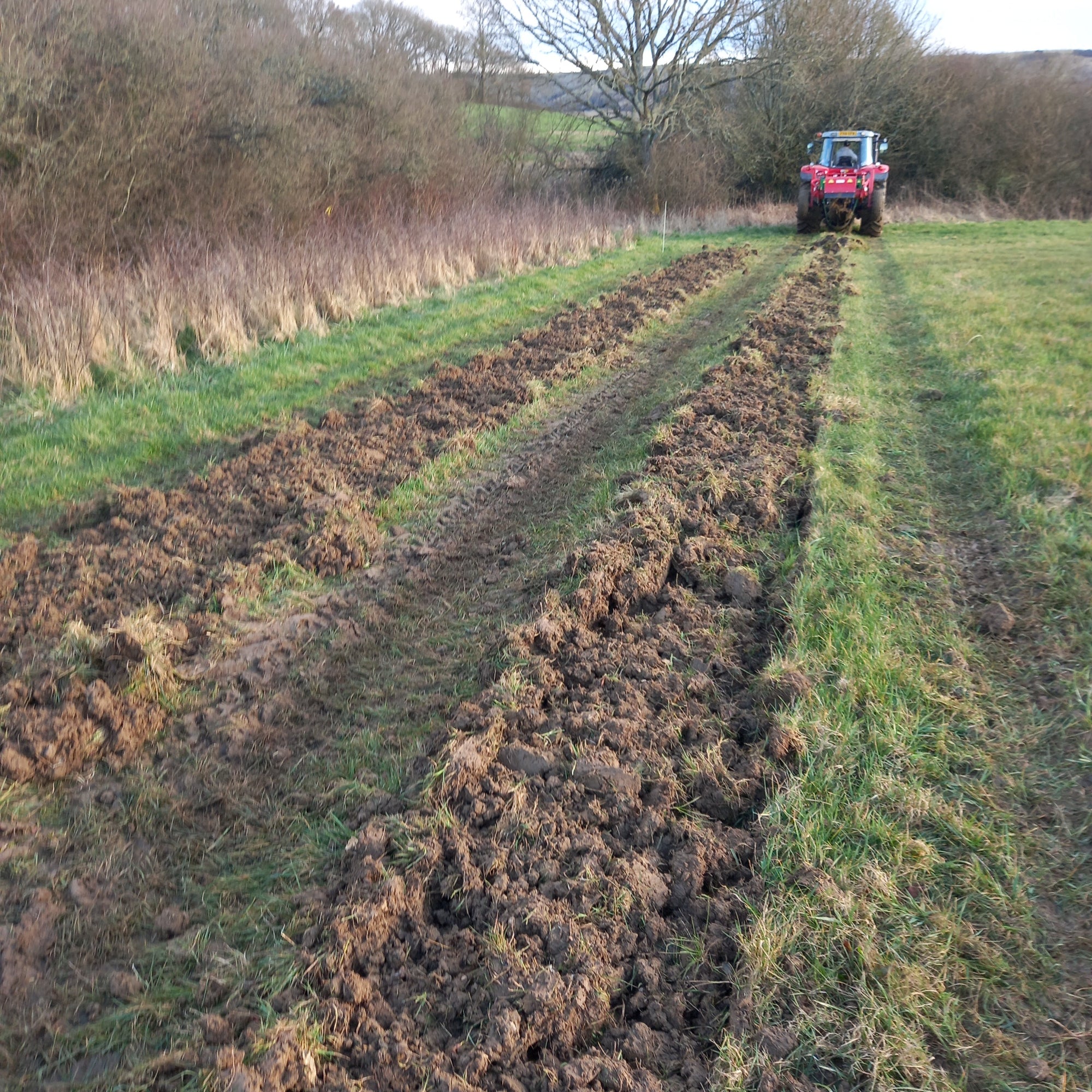 VineWorks testing the VitiTill strip cultivation machine - May 2025
