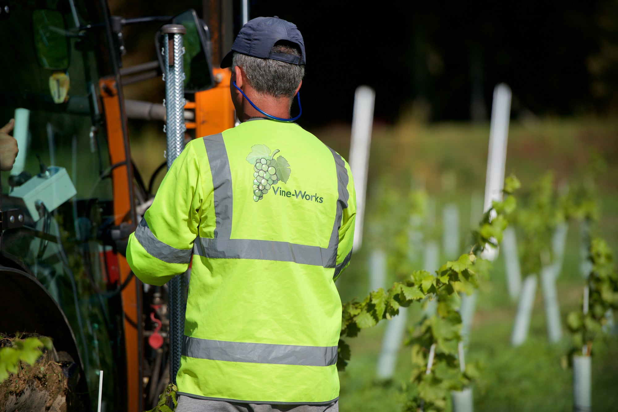 HADLEY & VINEWORKS: AN INSIGHT INTO THE CURRENT GLOBAL STEEL MARKET & HOW IT AFFECTS VITICULTURE