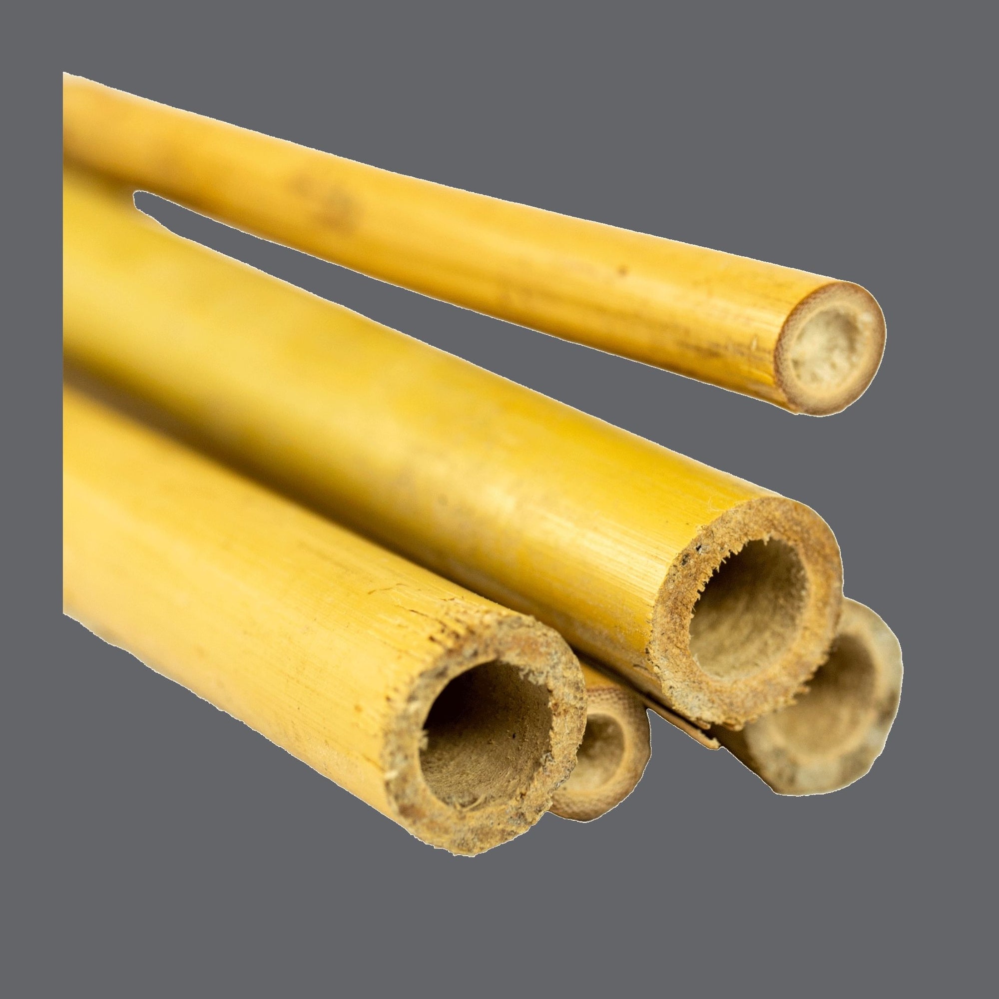 Close Up of Bamboo Tutors