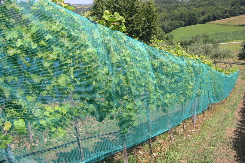 Bird netting 0.9 x 250m roll