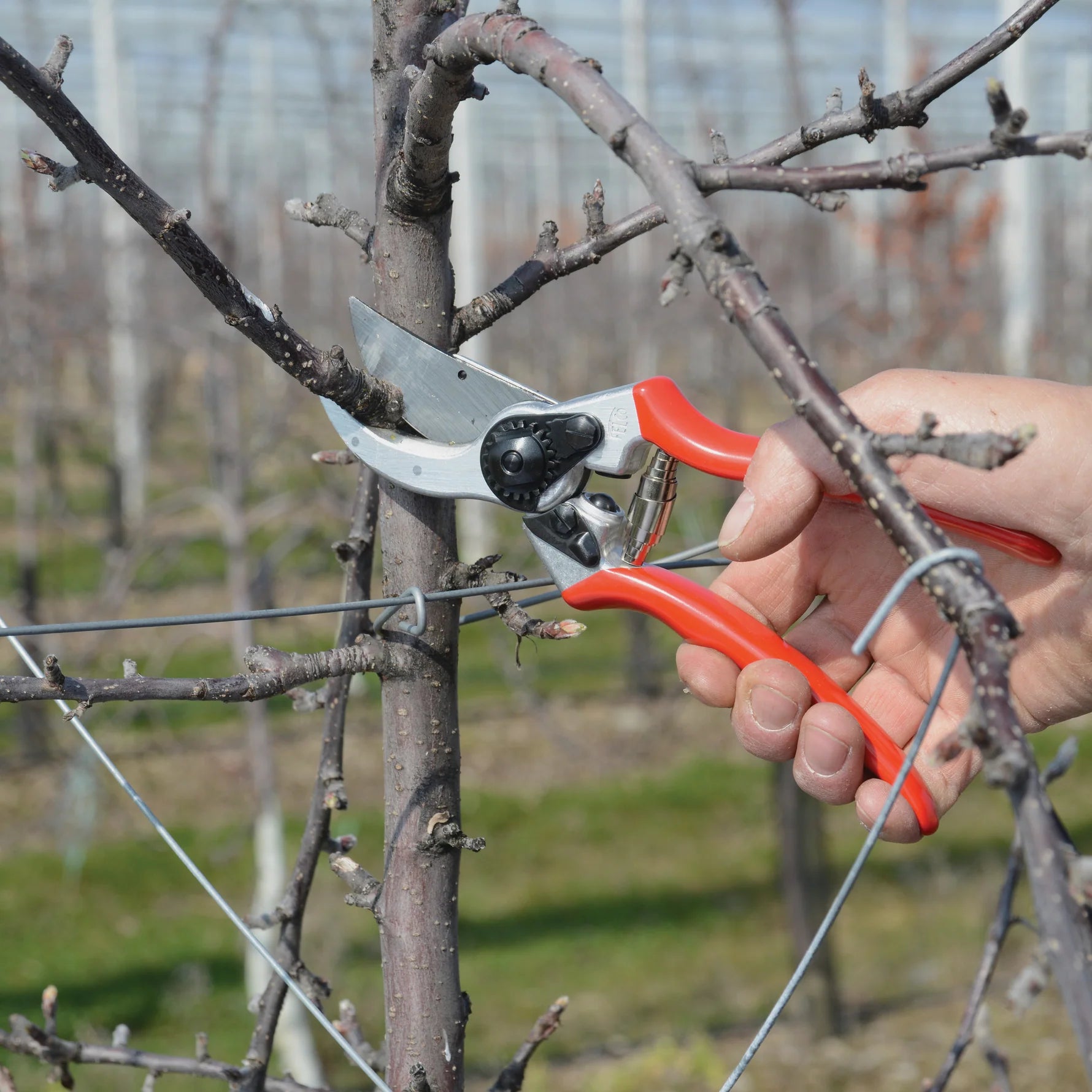 Felco 2 Pruning Secateurs