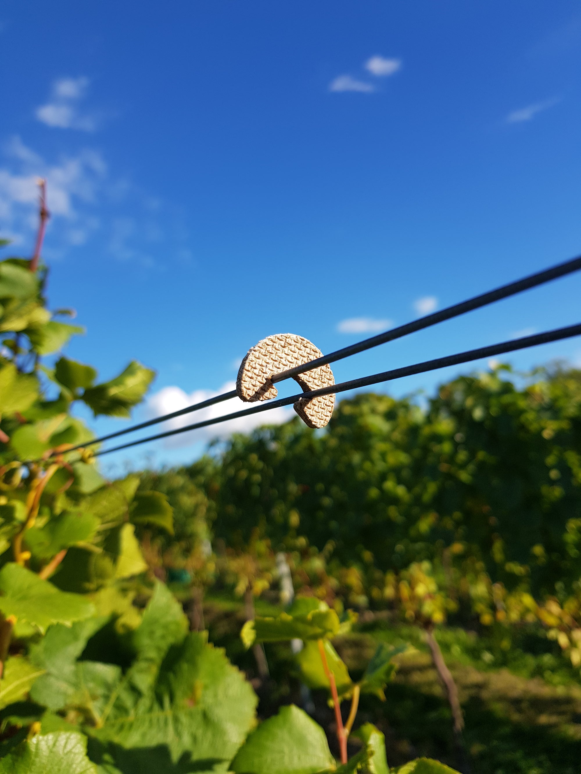 Wooden Foliage Clip on Trellis Wire