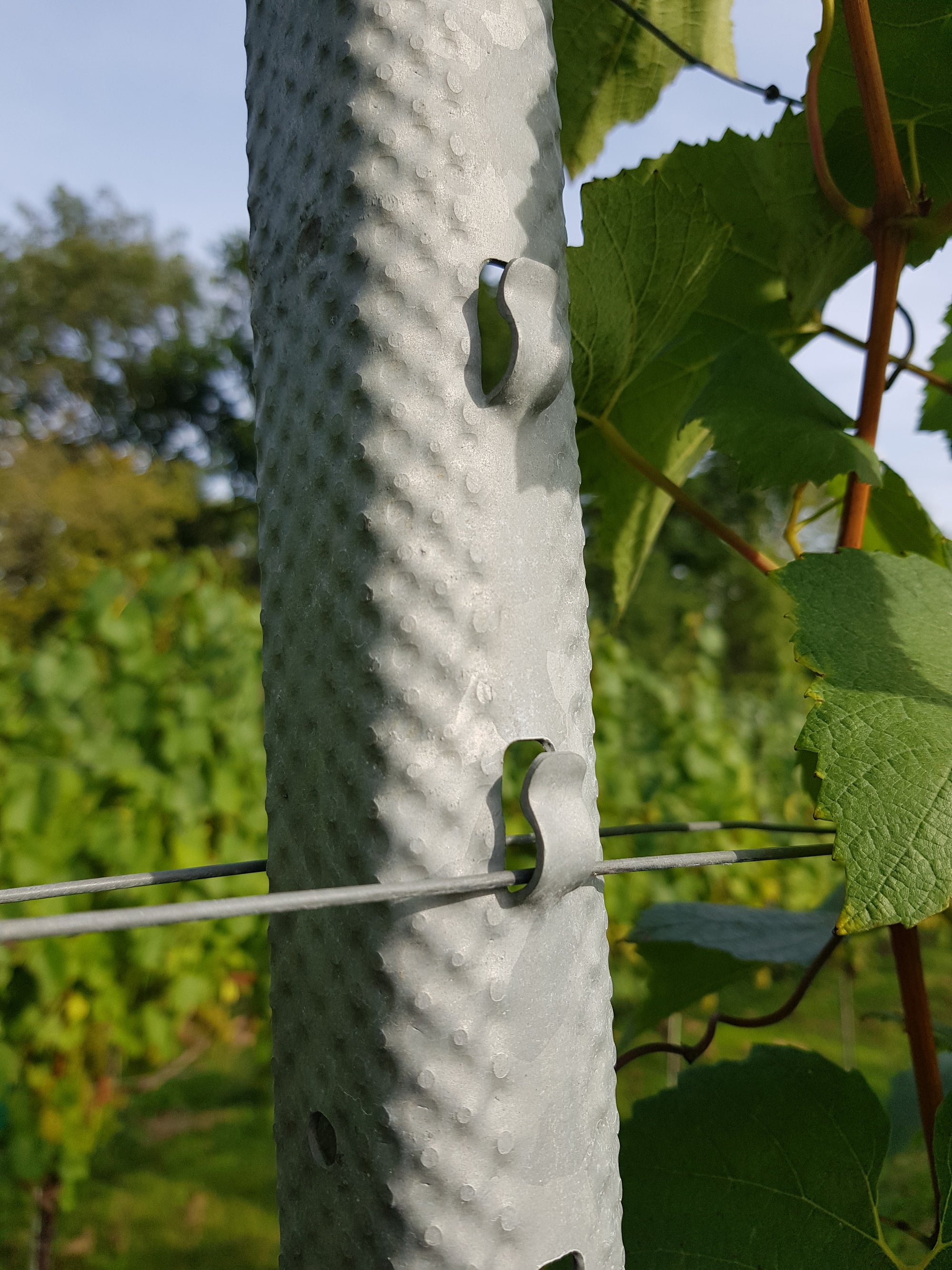 Foliage Wire Attached to Intermediate Post