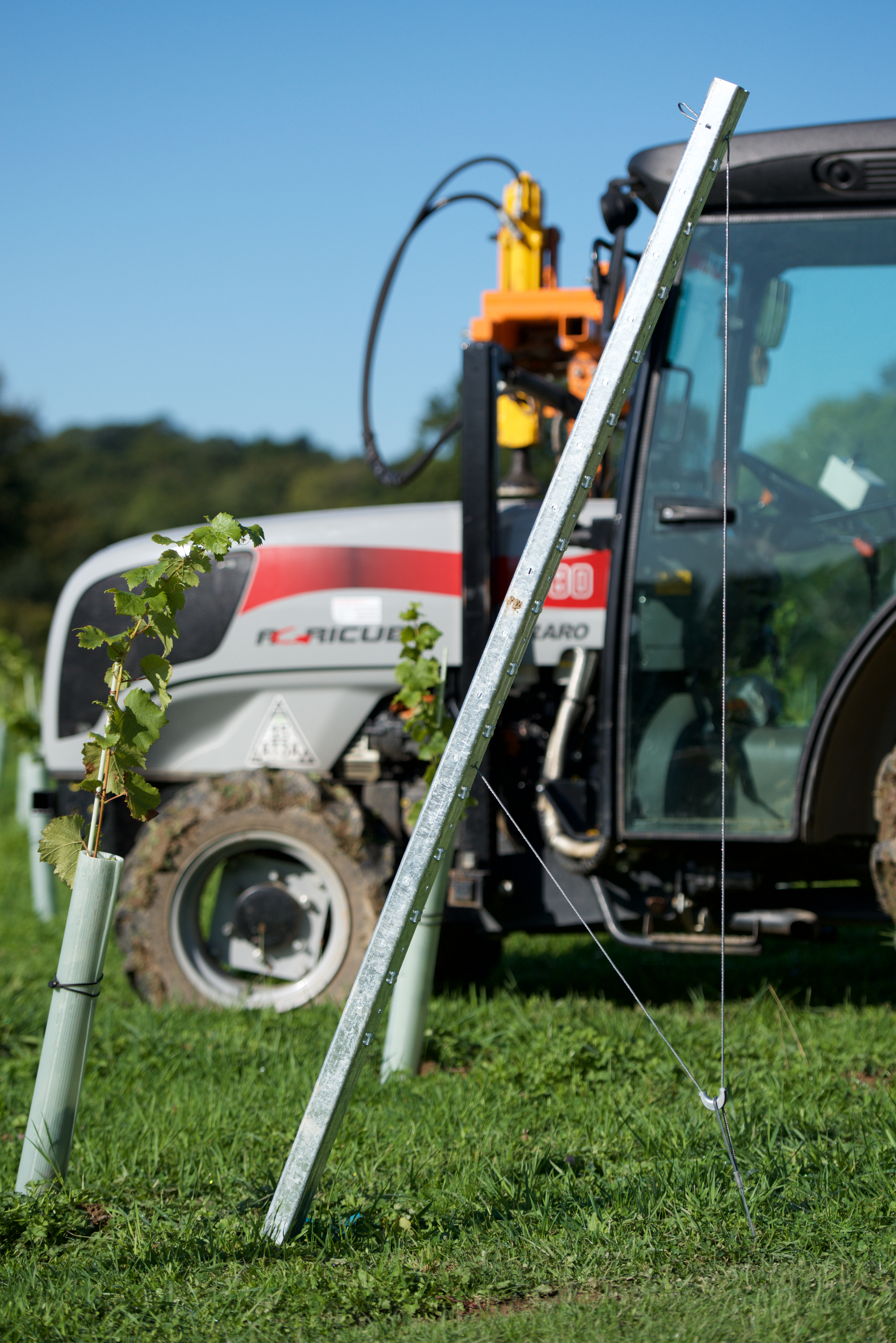 Gripple GPAK M Tieback Installed in Vineyard