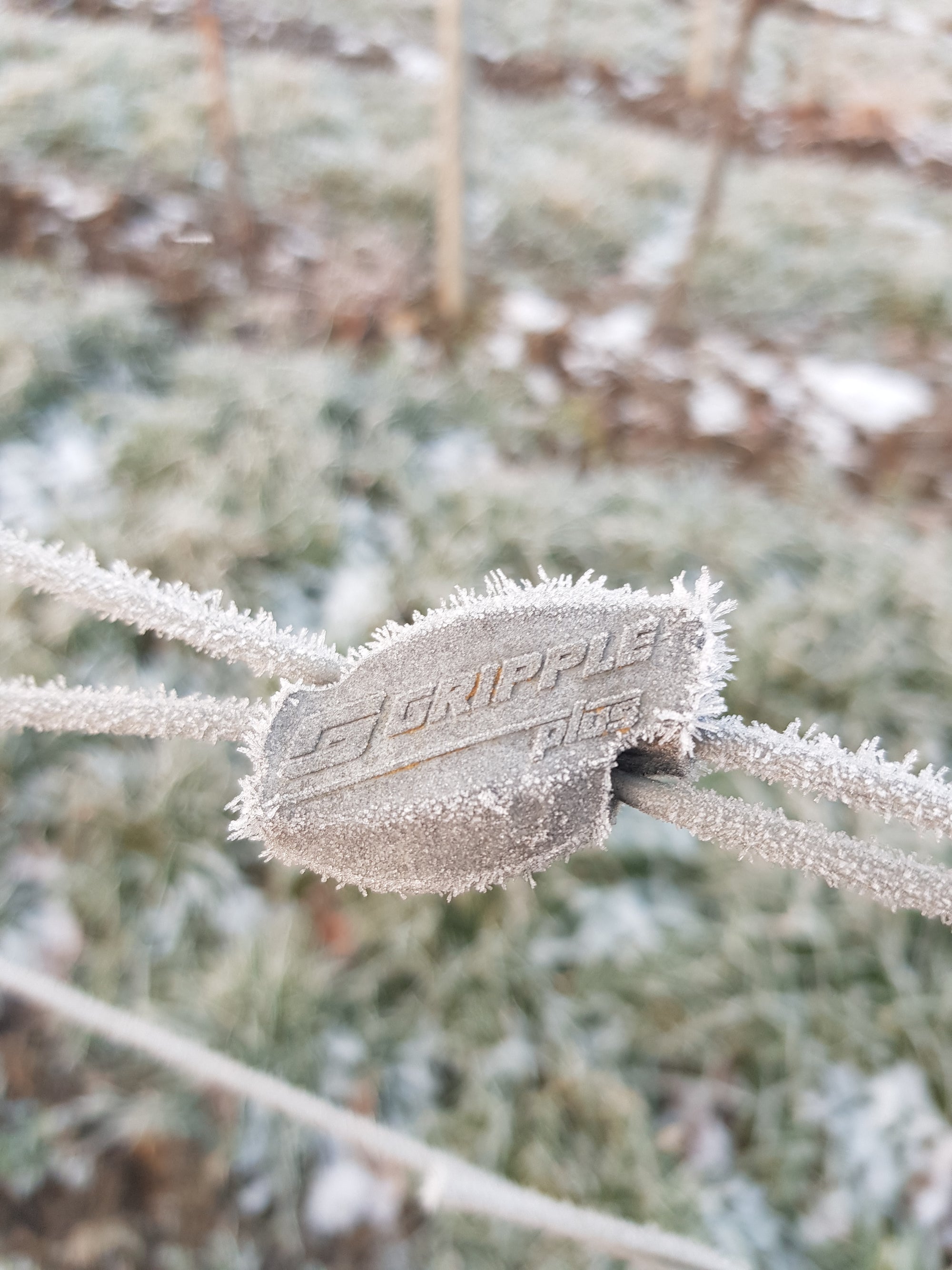 Gripple Medium Tensioner in Vineyard Covered in Frost