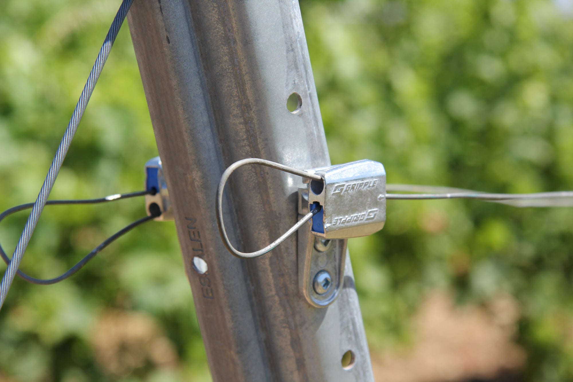 Gripple VIT-S Kit 1-Way Trellis Wire Tensioners, Bag/10