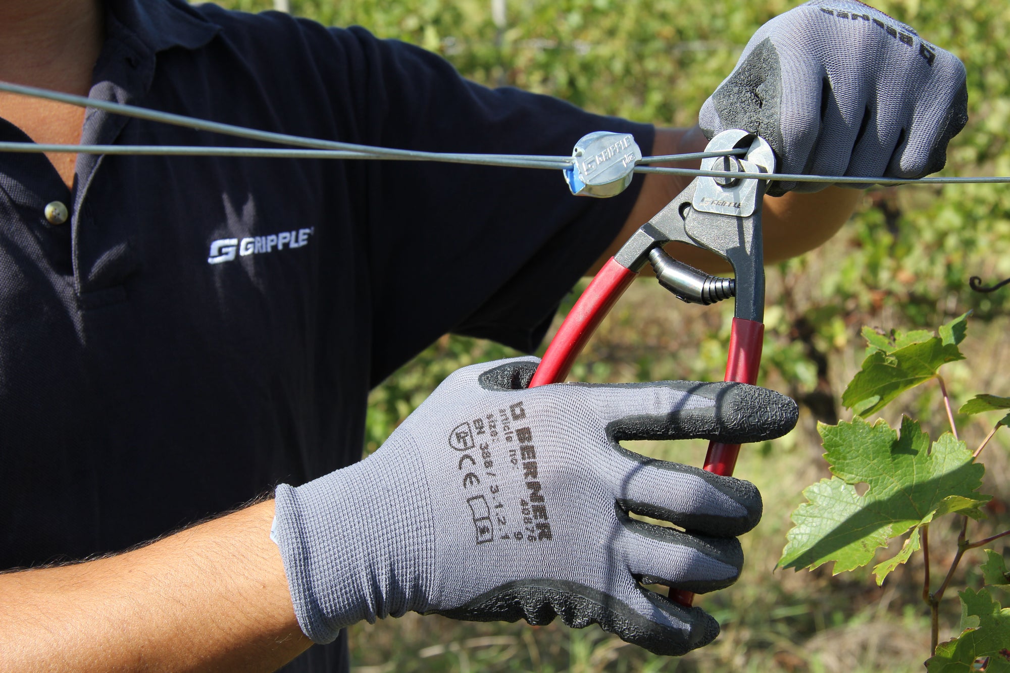 Gripple Wire Cutters Trimming Fruiting Wire