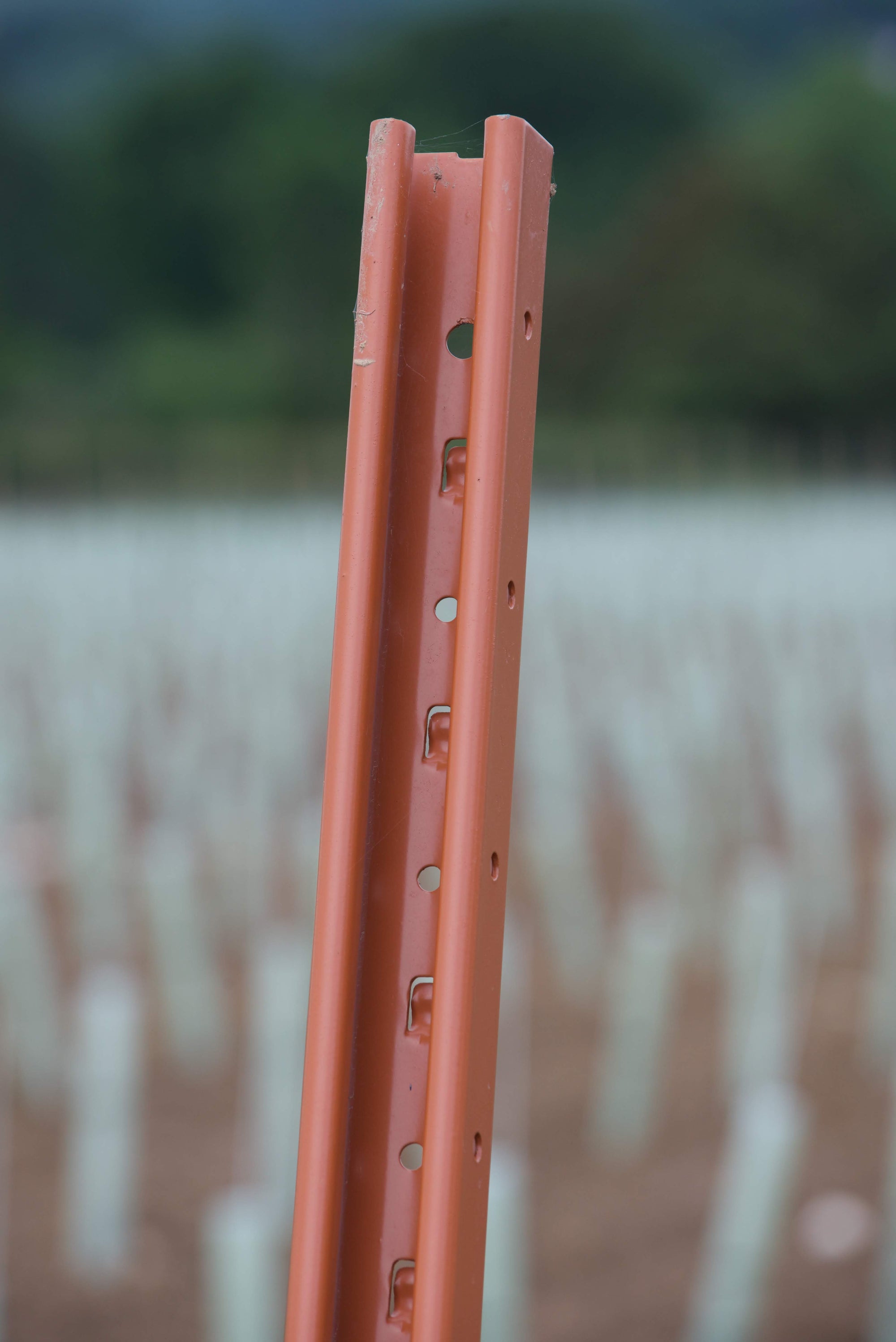 Hadley End Post Powder-Coated Orange