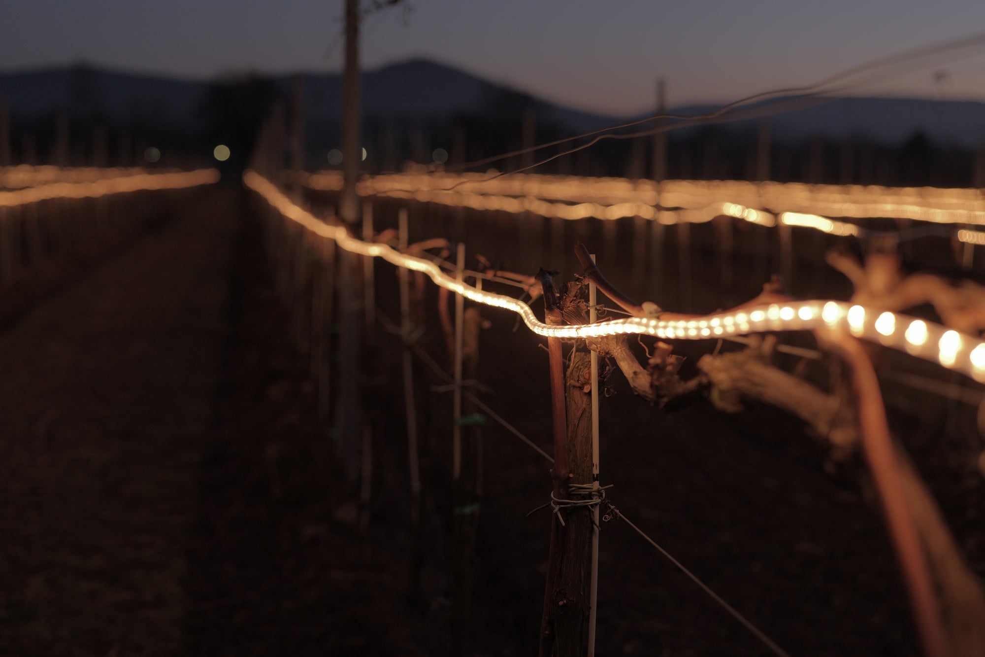 Frolight Control Unit Master (+ 4G stick)