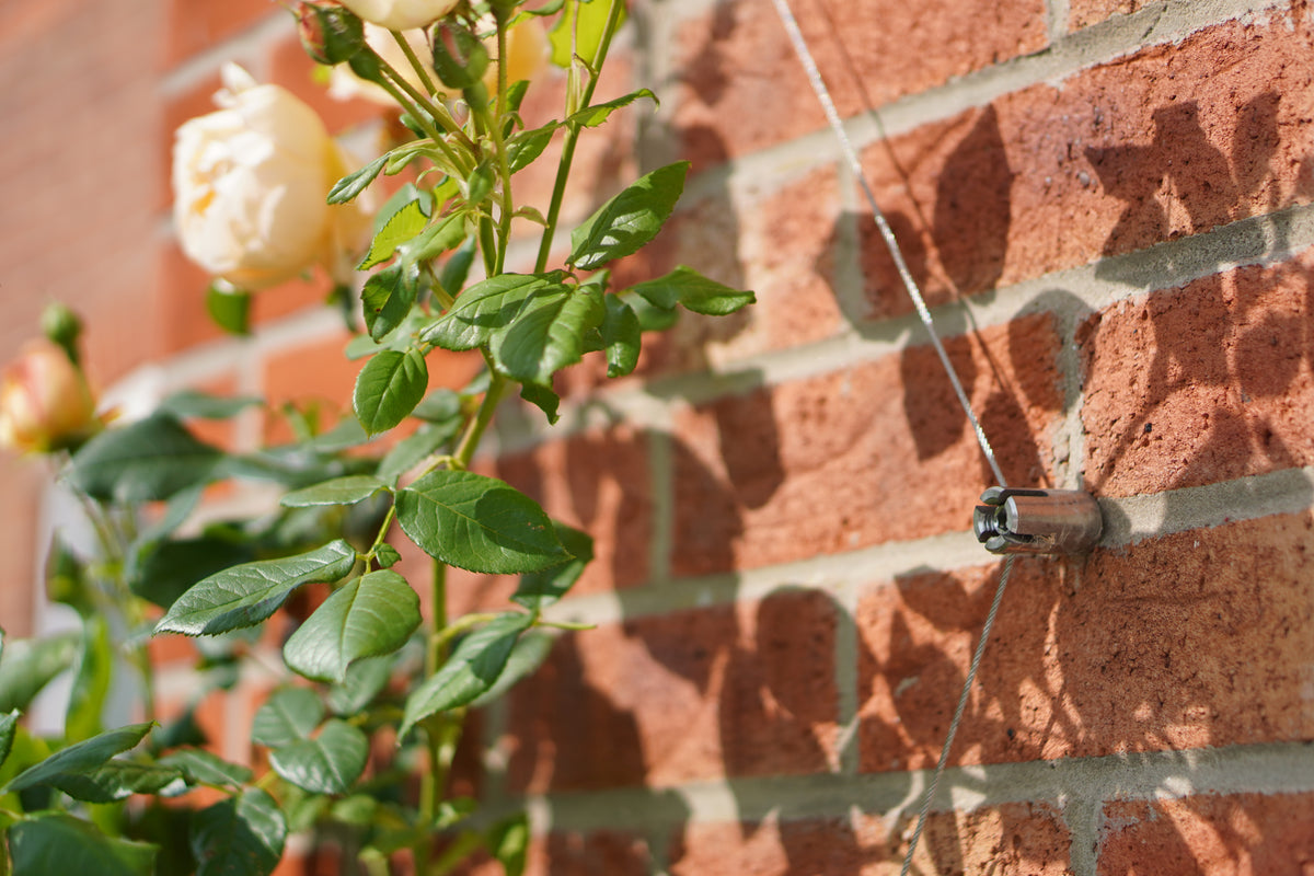 Professional Trellis Kit For Gardens/Walls