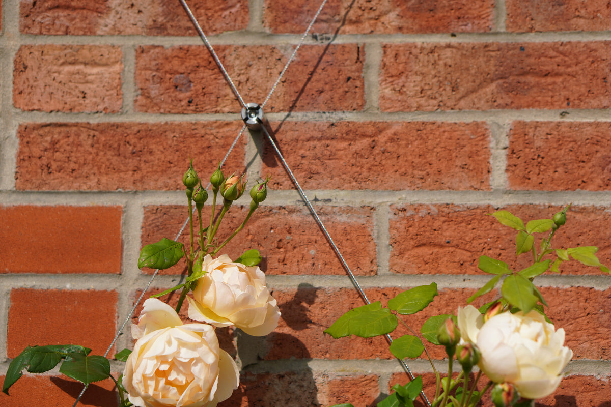 Professional Trellis Kit For Gardens/Walls