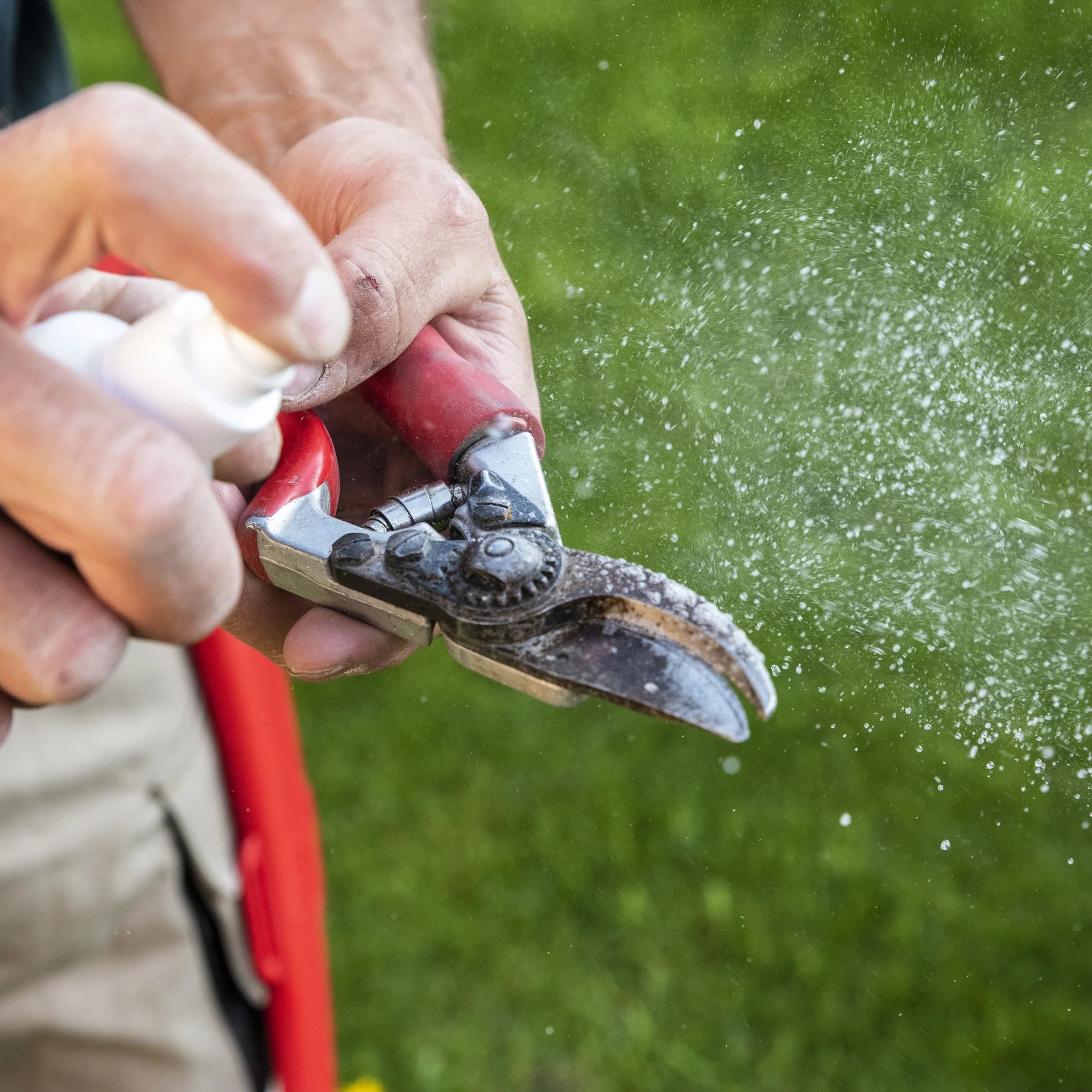 Felco plant resin remover spray