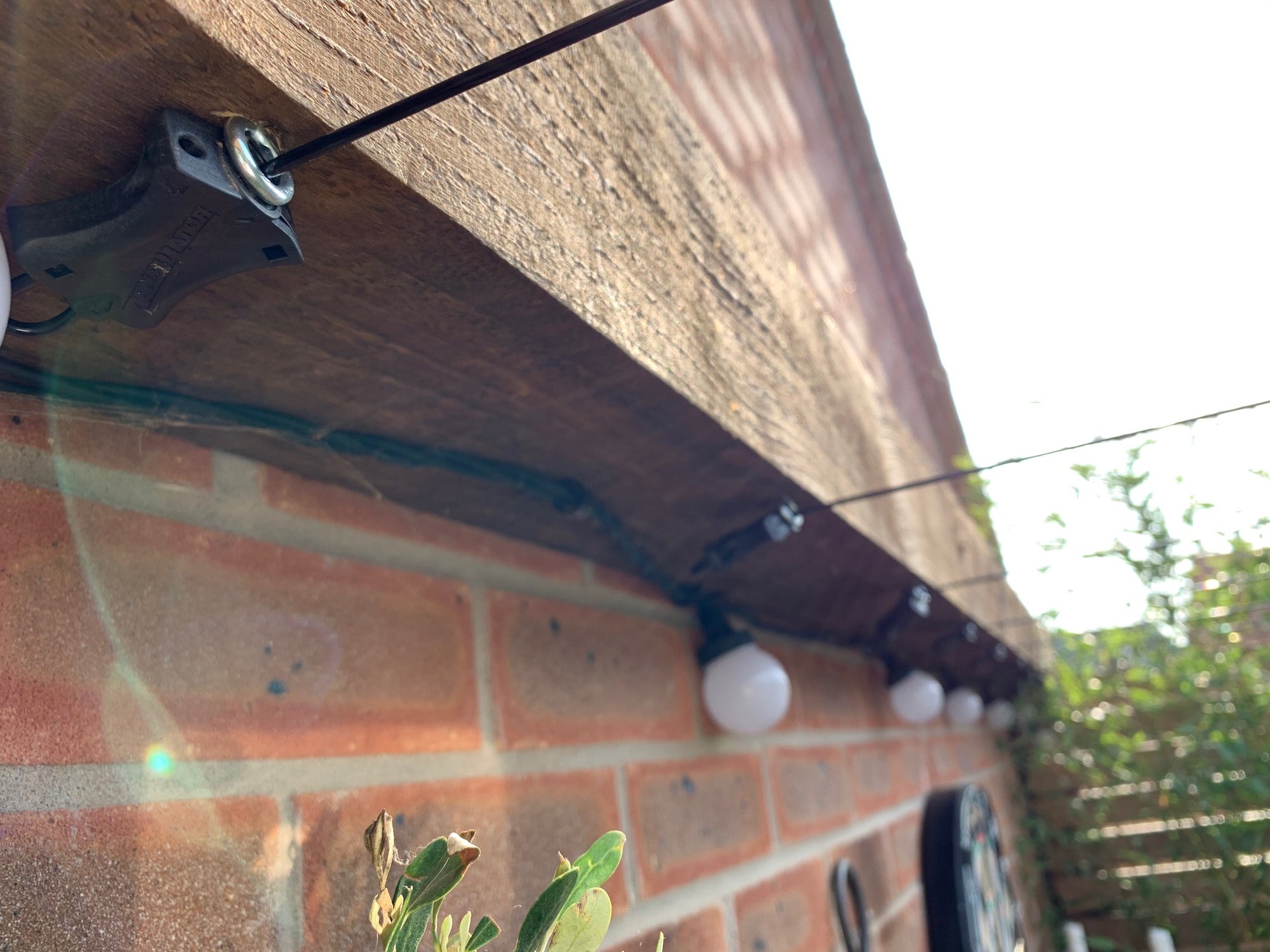 Gripple Garden Trellis Starter Kit: Wire, Tensioners, Hooks