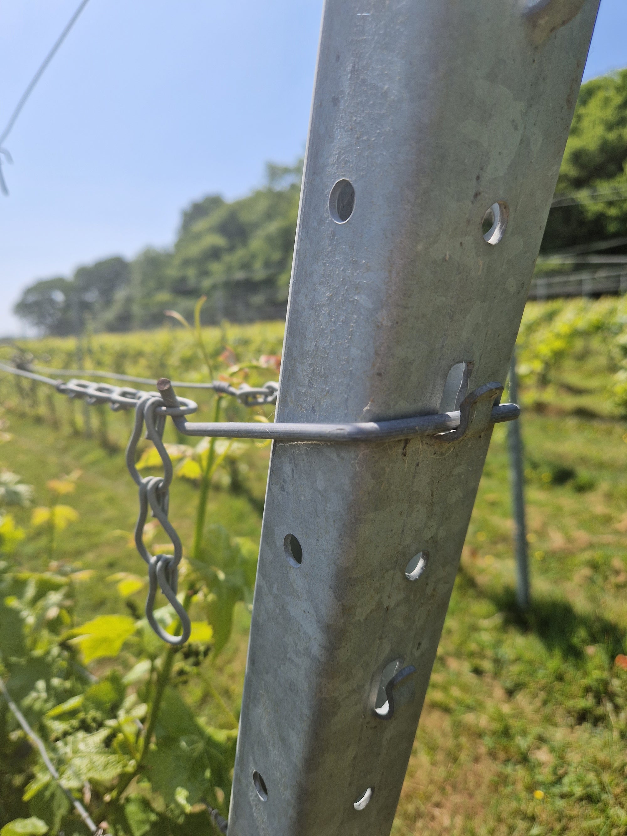 Trellis Hanger Attached to End Post and Chain