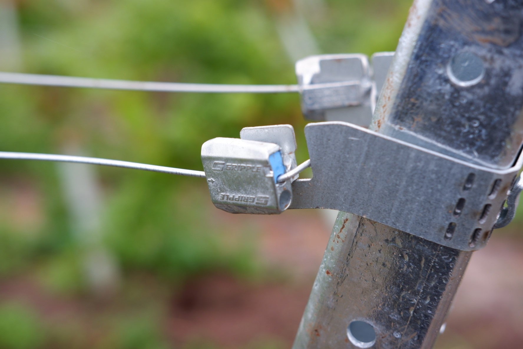 Gripple VIT-S Metal Trellising Bracket, Box of 20